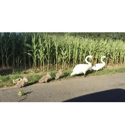 Labud 20 Am Ploener In Апартаменты *